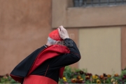 Cardinal, Rome