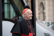 Vatican City: Theodore Edgar McCarrick (born July 7, 1930) is a laicized American former cardinal and bishop of the Catholic Church - IX Congregation of Cardinals before the election of Pope Francis. Photo: Gustavo Kralj/GaudiumpressImages