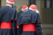 Vatican City: Theodore Edgar McCarrick (born July 7, 1930) is a laicized American former cardinal and bishop of the Catholic Church - IX Congregation of Cardinals before the election of Pope Francis. Photo: Gustavo Kralj/GaudiumpressImages