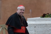 Cardinal Amigo - Spain