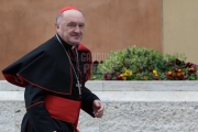 Vatican City : Cardinal Nicz - VII general congregation of Cardinals before the election of Pope Francis. Photo: Gustavo Kralj/Gaudiumpress