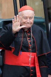 Vatican City: Theodore Edgar McCarrick (born July 7, 1930) is a laicized American former cardinal and bishop of the Catholic Church - IX Congregation of Cardinals before the election of Pope Francis. Photo: Gustavo Kralj/GaudiumpressImages