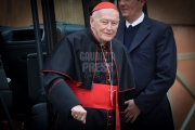 Vatican City: Theodore Edgar McCarrick (born July 7, 1930) is a laicized American former cardinal and bishop of the Catholic Church - IX Congregation of Cardinals before the election of Pope Francis. Photo: Gustavo Kralj/GaudiumpressImages