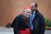 Vatican City: Theodore Edgar McCarrick (born July 7, 1930) is a laicized American former cardinal and bishop of the Catholic Church - IX Congregation of Cardinals before the election of Pope Francis. Photo: Gustavo Kralj/GaudiumpressImages