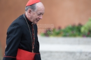 Cardinal Juan Luis Cipriani Thorne