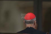 cardinal Tarcisio Bertone