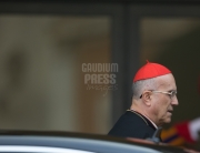 cardinal Tarcisio Bertone