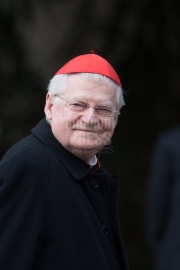 Cardinal Angelo Scola