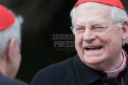 Cardinal Angelo Scola