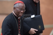 Cardinal Robert Sarah - Rome