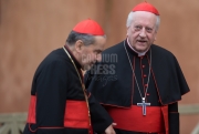 Cardinal Franc Rode
