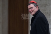 Vatican City: Cardinal Rainer Maria Woelki