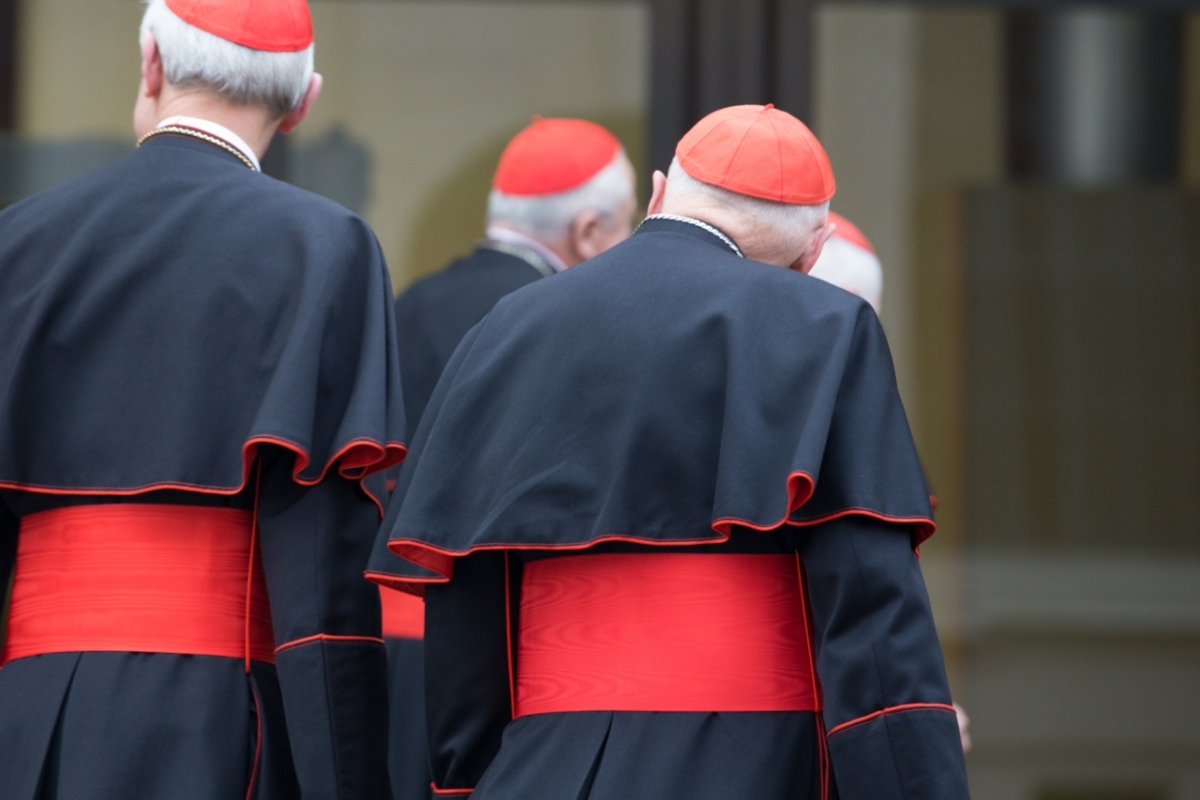 Vatican City: Theodore Edgar McCarrick (born July 7, 1930) is a laicized American former cardinal and bishop of the Catholic Church - IX Congregation of Cardinals before the election of Pope Francis. Photo: Gustavo Kralj/GaudiumpressImages