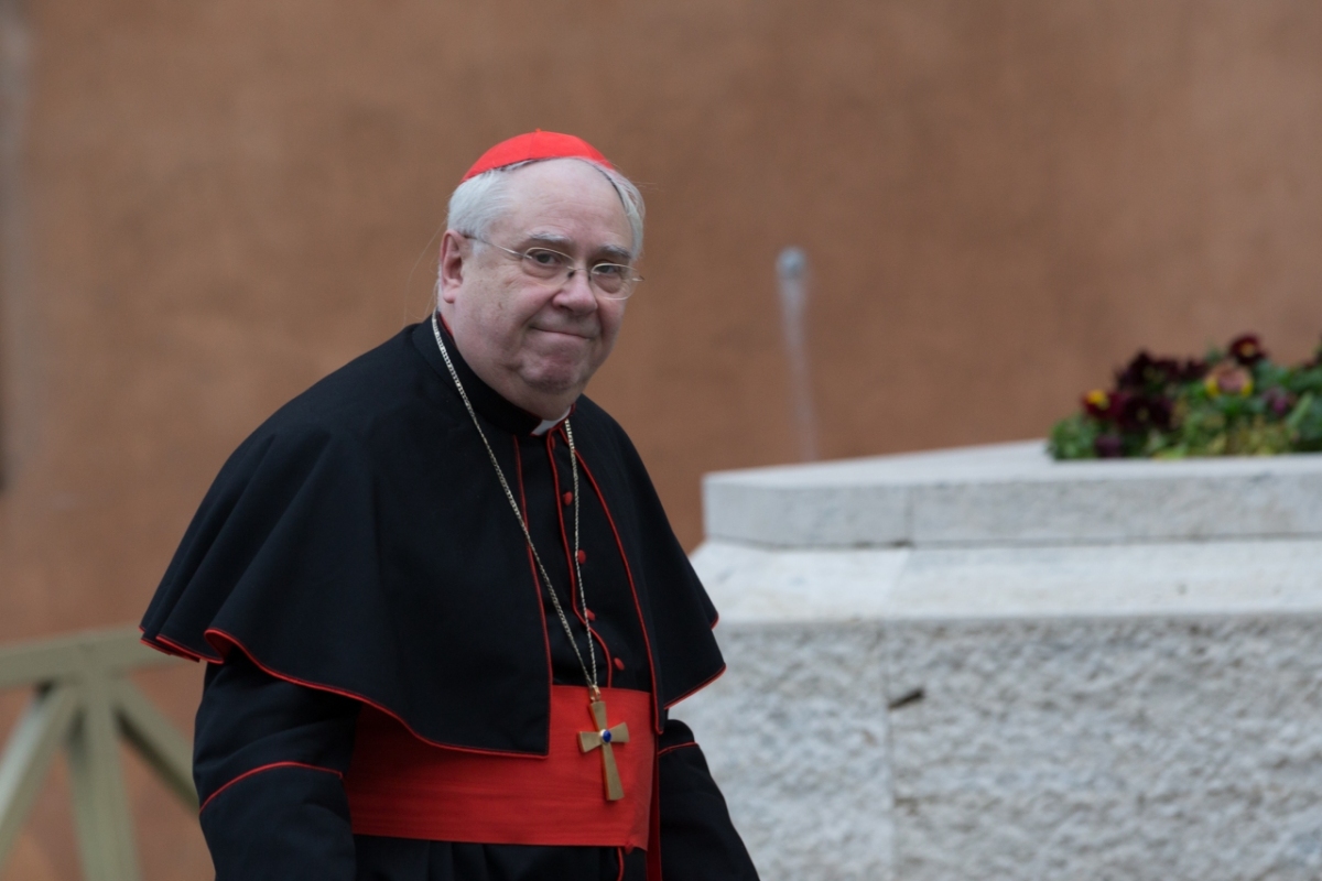 Cardinal Amigo - Spain