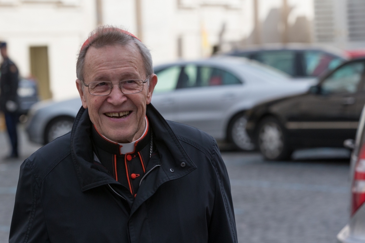 Vatican City: Cardinal Kasper - IX Congregation of Cardinals before the election of Pope Francis. Photo: Gustavo Kralj/GaudiumpressImages