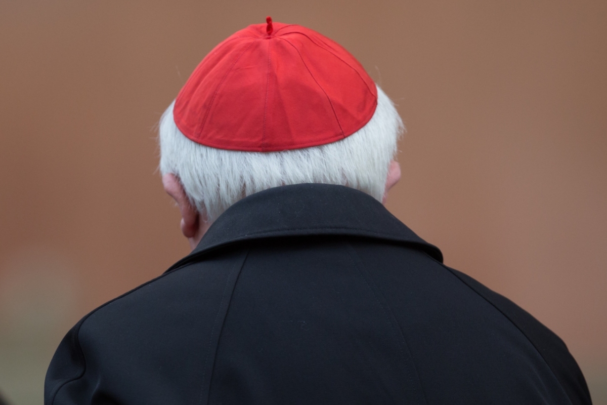 Vatican City: Cardinal Cañizares from Spain